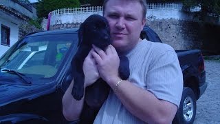 Una Pequeña Reflexion en YouNow y Youtube En Vivo 31 de Enero 2016