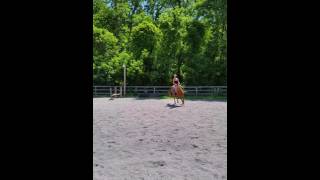 Adult Clinic - Day 2(4)