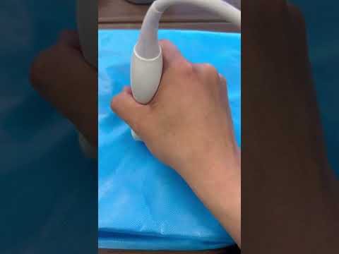 Ultrasound basic maneuvers