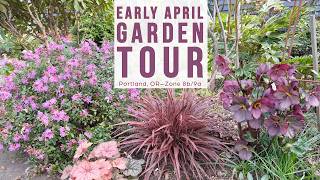 Early April Garden Walk & Talk — NE Portland, Zone 8b