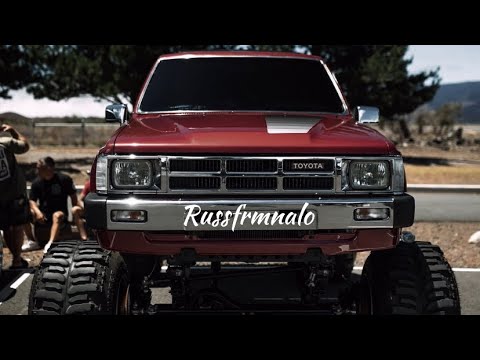 Necta Butterfly - Sashamon(EQ)