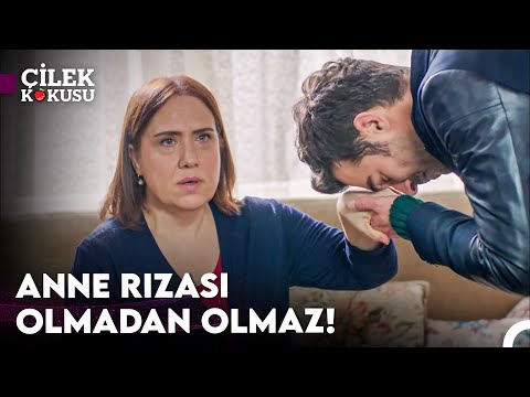 Aşkı İçin Çabalayan Sek Erkek!  - Çilek Kokusu