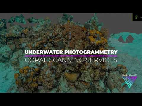 CORAL REEF PHOTOGRAMMETRY SCANNING SERVICES