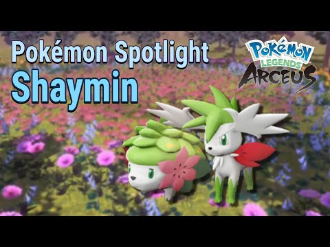 Shaymin Explained! - Pokémon Legends Spotlight