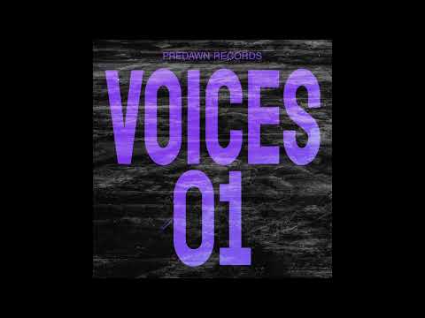 Nils Edte - Adamanti