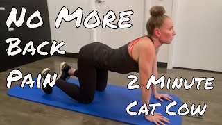 Two Minute Cat Cow - No More Back Pain