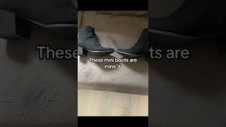 Cover art for mini boots