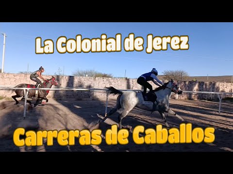 🐴EMOCIONANTES CARRERAS DE CABALLOS En La Colonial de Jerez!!