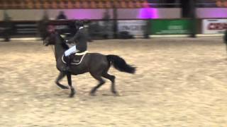 Video von Honoust Lady