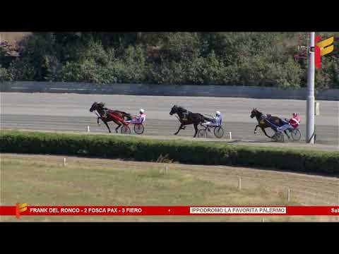 Prova di Qualifica del 9 Settembre 2023 - 2 Anni - Metri 2000