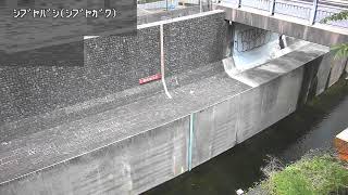 渋谷橋映像監視局