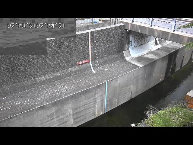 渋谷橋映像監視局
