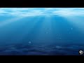 Underwater Background Animation Video Animated Deep Sea Effects