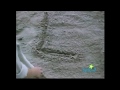 Sesame Street Letter L On The Beach