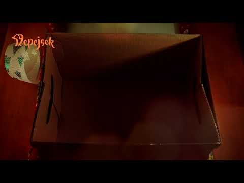 Vánoce s DePejSkem pro děti ze sociálně slabých rodin