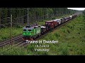 Trains in Vretstorp 19-7-2016 In de avond van 19-7-2016 besluit ik na zware regenval richting Vretstorp te rijden om daar een spotplek van vorig jaar te bezoeken.
Hier passeert een gravel weg het spoor via een viaduct waardoor je een mooi uitzicht hebt op de passerende treinen.
Met Hallsberg in de buurt heb je hier ook in de zomervakantie nog genoeg te zien. In the evening of 19-7-2016 after a day with lots of rain I paid a visit to a nice spot nearby Vretstorp.
First we see a X55 from SJ passing to Hallsberg.
Next the Green Cargo Rd2 nr 1077 passes with a mixed freight train.
After that the red SJ Rc6 nr 1334 is driving by to Hallsberg, followed by the Green Cargo Rd2 nr 1100 in the opposite direction.
Just 15 minutes later, a new Green Cargo Re (nr 1426) is on it
