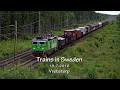 In de avond van 19-7-2016 besluit ik na zware regenval richting Vretstorp te rijden om daar een spotplek van vorig jaar te bezoeken. 
Hier passeert een gravel weg het spoor via een viaduct waardoor je een mooi uitzicht hebt op de passerende treinen. 
Met Hallsberg in de buurt heb je hier ook in de zomervakantie nog genoeg te zien.  In the evening of 19-7-2016 after a day with lots of rain I paid a visit to a nice spot nearby Vretstorp. 
First we see a X55 from SJ passing to Hallsberg. 
Next the Green Cargo Rd2 nr 1077 passes with a mixed freight train. 
After that the red SJ Rc6 nr 1334 is driving by to Hallsberg, followed by the Green Cargo Rd2 nr 1100 in the opposite direction. 
Just 15 minutes later, a new Green Cargo Re (nr 1426) is on it