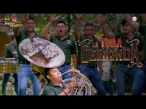 Banda Tierra Mojada - La Tuba Gedionda (En vivo)