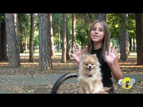 Запознавање со Марија Гроздановска СИ-ДО 2021