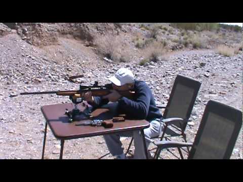 Savage model 25 .223