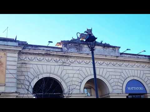 CUCINA ROMANA QUINTO QUARTO ED IL MATTATOIO DI ROMA, ORIGINI E TRADIZIONI.