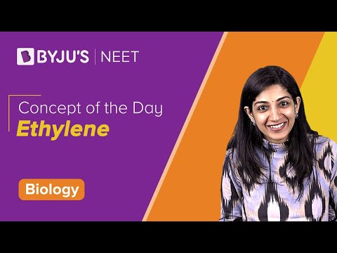 Ethylene | BIOLOGY | NEET | Concept of the Day | Pankhuri Ma'am
