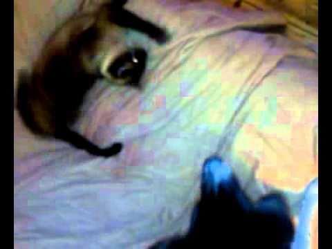 video-2010-09-19-23-02-25