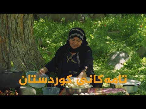 ڤیدیۆ | تامەکانی کوردستان، پێشبڕکێی نێوان، شێف هەڤاڵ ، پورە فاتمە و شەهێن خان لە گوندی مڕە