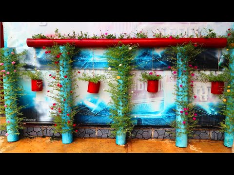 New idea to recycle old pipe for plant moss rose and Portulaca