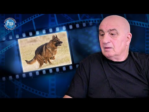 BALKAN INFO: Mihajlo Ulemek - Sirko je poveo vučjaka, kad smo išli da rešimo problem u Slankamenu!