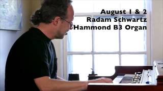 Bruce Williams and Radam Schwartz Organ Quartet at Summer Jazz Cafe
