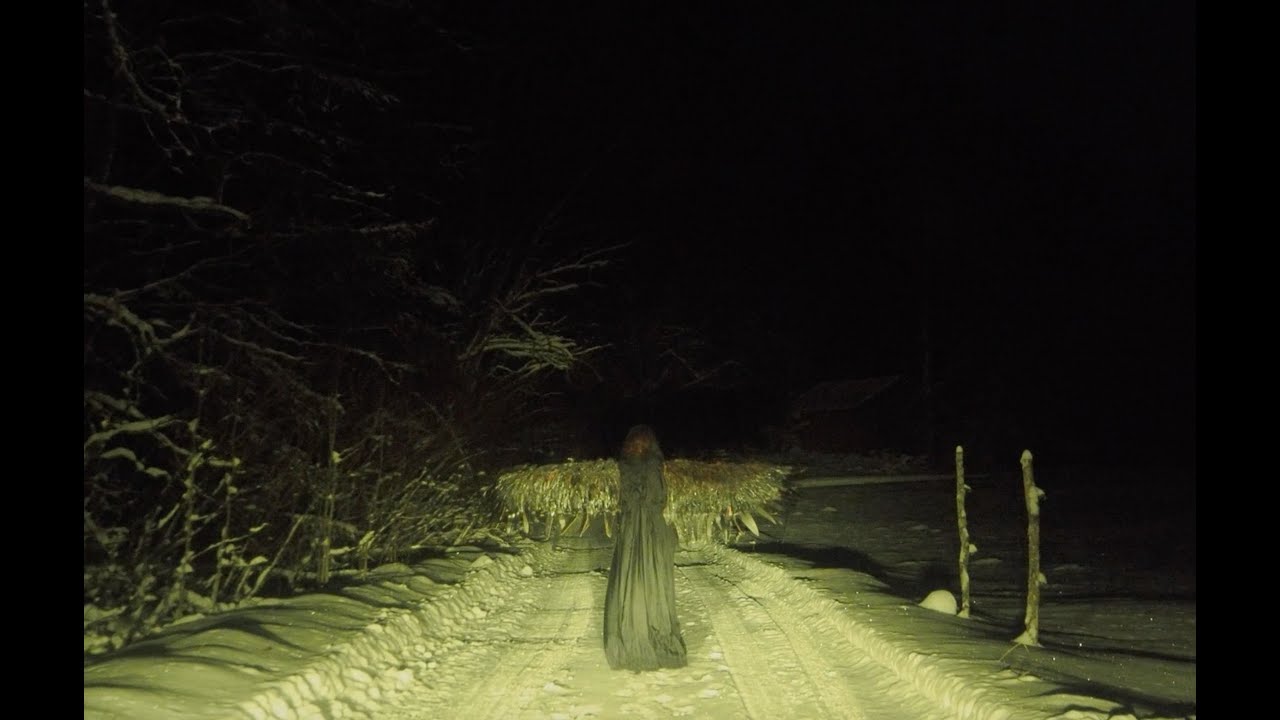 Viitasen Piia - Muuttolintu