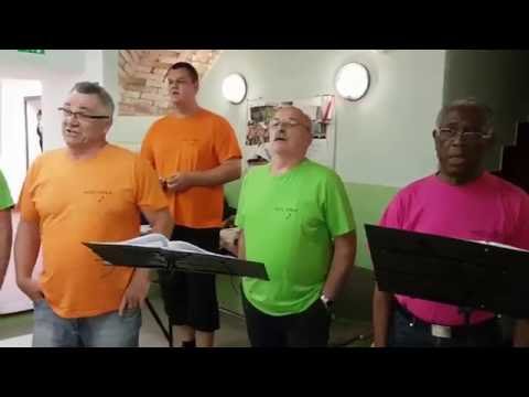 Novomeški abonma, MePZ Krka