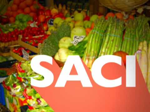 SACI: Study Art HERE! (part 08 of 11) - Italian Language and Culture Studies