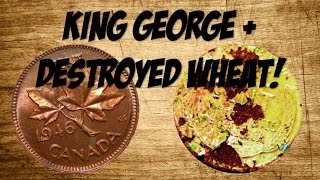 KING GEORGE + DESTROYED WHEAT! -Coin Roll Hunting-