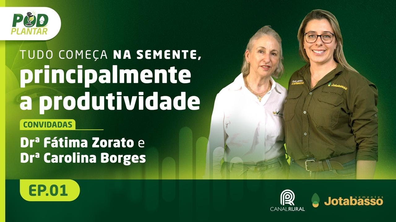 T02 - EP01: Tudo começa na semente, principalmente a produtividade | Canal Rural
