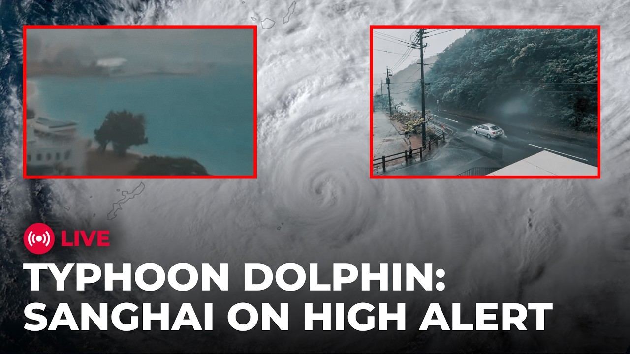 Typhoon Dolphin LIVE: Shanghai on High Alert as Typhoon Dolphin Approaches | 1300 Flights Cancelled
