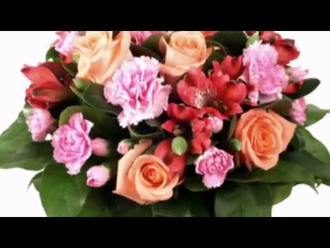 Toate florile din lume ! - Anisoara Puica -