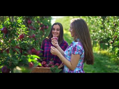 Albena   Earth Video