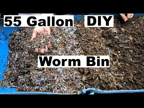 My Largest Worm Compost Bin- Wedge Style Explained