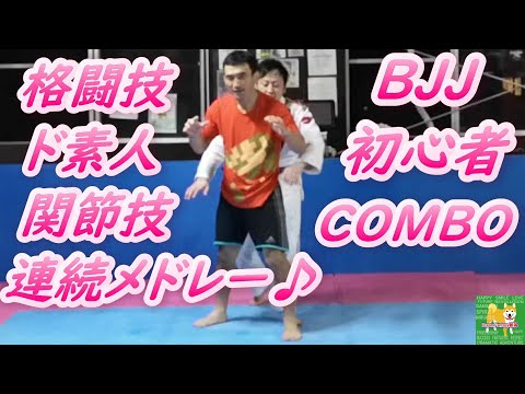 格闘技ド素人関節技連続メドレー♪ #関節技 #柔術 #ブラジリアン柔術  #BJJ
