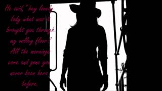 Shannon McNally - Weathervane