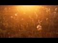 Gui Boratto - The Third