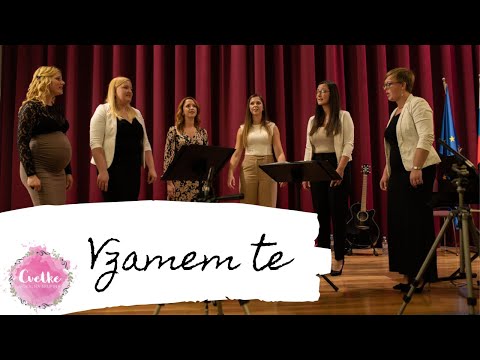 Vokalna skupina Cvetke – Vzamem te