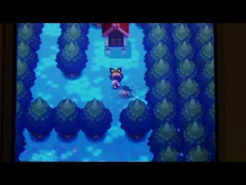 4 - Extremespeed Dratini and Spiky-Eared Pichu (Gotta Catch 'em All 3)