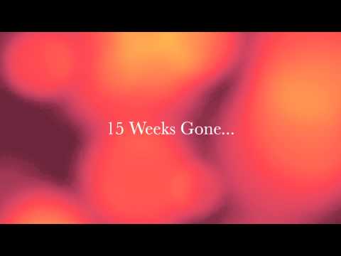 2014  15 Weeks Gone - J Dot Tee