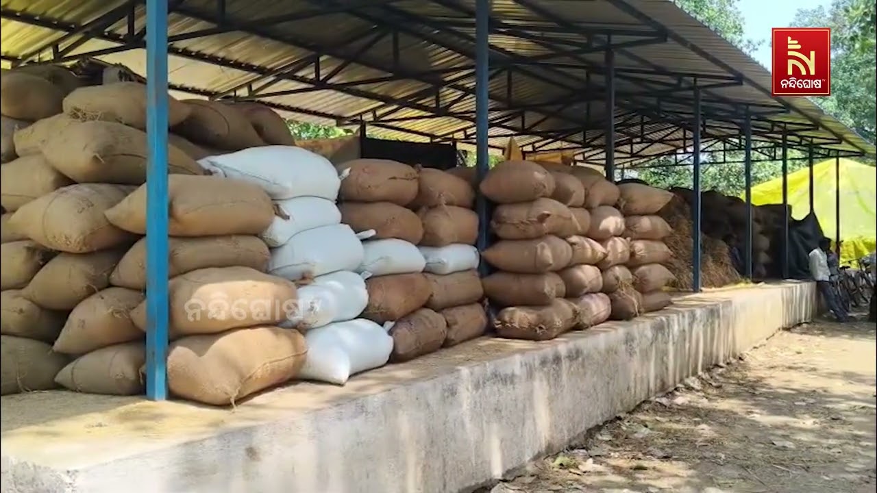 କଳାହାଣ୍ଡି ଜିଲ୍ଲା ରଣମାଲ ମଣ୍ଡି ଅବ୍ୟବସ୍ଥାକୁ ନେଇ ଚାଷୀଙ?