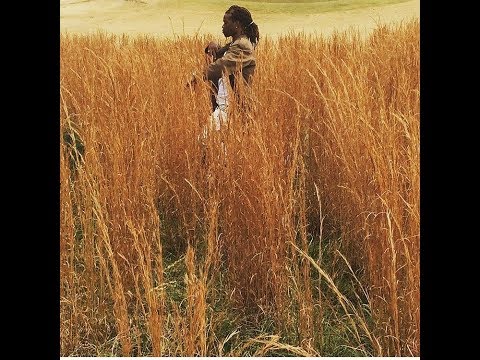 Take the Lick - King Taz ft Ray Barz | DME