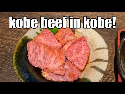 Incredible Beef During First Trip To Kobe, Japan
