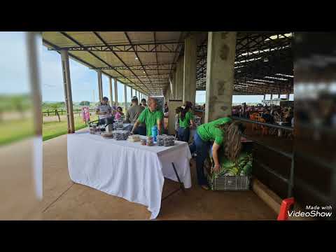 1 de dezembro de 2024